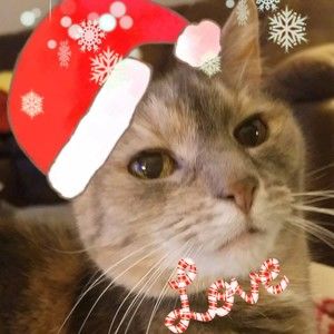 Meet your Posher, Tricia